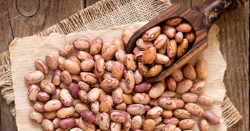 خرید و فروش لوبیا چیتی شکسته با شرایط فوق العاده